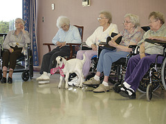 nursing home picture 3