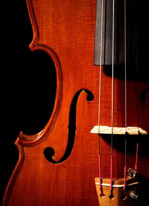 violin half - Cheryl Pearson - www.seniorsentertainer.com